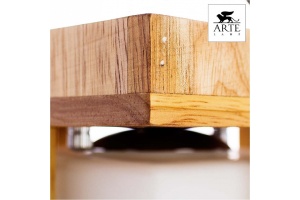 Потолочный светильник Arte Lamp 95 A8252PL-1BR - 3