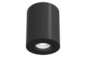 Потолочный светильник Maytoni Alfa C016CL-01B