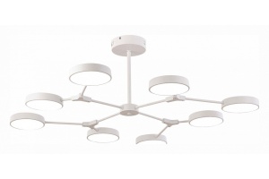 Люстра на штанге EVOLUCE Monta SLE6003-502-08 - 2