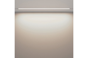 Встраиваемый светильник Maytoni Basis TR030-4-30WTW-DD-W - 2