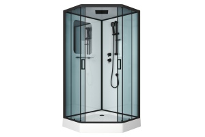Душевая кабина Niagara Premium 100х100х220 черная NG-6902-01D BLACK
