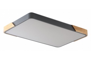 Накладной светильник Zortes ALBERRO ZRS.01277.60