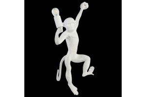 Накладной светильник EVOLUCE Tenato SLE115111-01 - 3