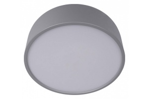 Накладной светильник Loft it Axel 10201/350 Grey - 2