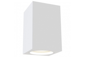Потолочный светильник Maytoni Alfa C011CL-01W