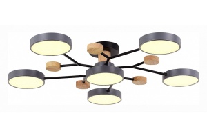 Потолочная люстра EVOLUCE Faema SLE6006-702-06 - 2