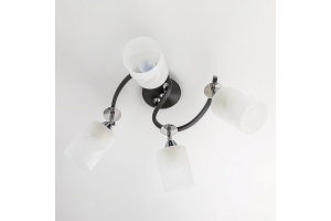 Потолочная люстра Citilux Сиерра CL119241 - 2