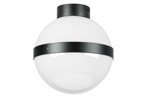 Накладной светильник Lightstar Globo 812117