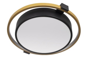 Потолочный светодиодный светильник Loft IT Mike 10169