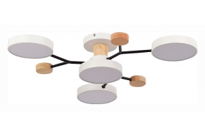 Потолочная люстра EVOLUCE Faema SLE6006-502-04