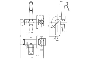Гигиенический душ Aquanet Passion AF300-52B со смесителем - 2