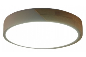 Накладной светильник Zortes ALBERRO ZRS.01289.48 - 3