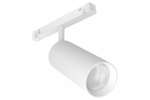 Светильник на штанге Maytoni Focus LED TR032-2-20W4K-S-W