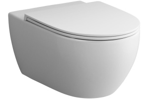 Крышка-сиденье AM.PM Awe C117853WH с микролифтом, петли хром - 2