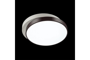 Потолочный светодиодный светильник Lumion Ledio Agatha 4509/72CL - 2