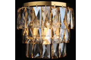 Накладной светильник Aployt Francheska APL.837.01.01 - 3