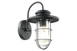 Уличный настенный светильник Odeon Light Nature Helm 4171/1W