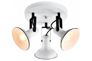 Потолочная люстра Lussole Fargo LSP-8803