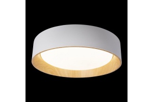 Накладной светильник Loft it Coin 10202 White - 3