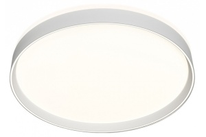 Накладной светильник Denkirs Cany DK6510-WH