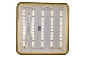 Накладной светильник Zortes Monna ZRS.1209.03 - 2