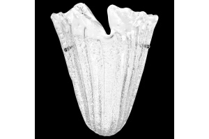 Настенный светильник Lightstar Murano 601610 - 2