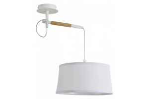 Светильник на штанге F-promo Eureka 3005-1P