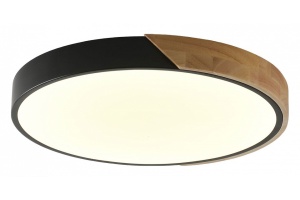 Накладной светильник Zortes ALBERRO ZRS.01237.90 - 2