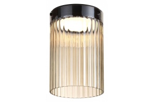 Накладной светильник Odeon Light Pillari 5047/15LC - 2