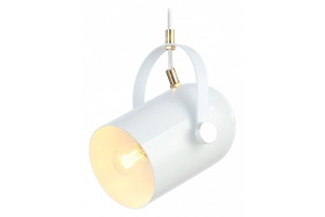 Подвесной светильник Ambrella Light TR TR8205