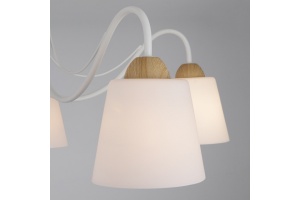 Потолочная люстра Eurosvet Betty 70062/5 белый - 3