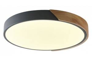 Накладной светильник Zortes ALBERRO ZRS.01280.48 - 3