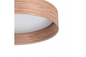 Накладной светильник Eglo ПРОМО Luppineria 900463 - 3