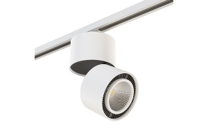 Светильник на штанге Lightstar Forte Muro A1T213816