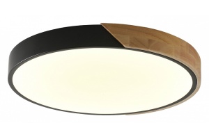 Накладной светильник Zortes ALBERRO ZRS.01287.72