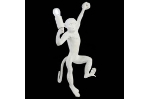 Накладной светильник EVOLUCE Tenato SLE115111-01 - 2