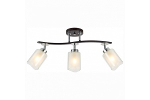 Спот Citilux Фортуна CL156132