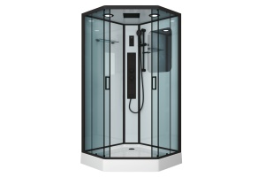 Душевая кабина Niagara Premium 100х100х220 черная NG-6902-01GD BLACK