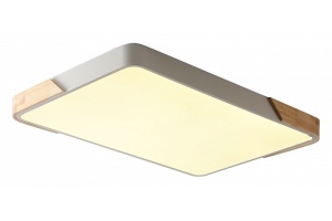 Накладной светильник Zortes ALBERRO ZRS.01233.60