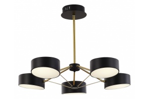 Люстра на штанге EVOLUCE Valle SLE6005-402-05 - 3