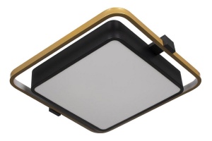 Потолочный светодиодный светильник Loft IT Mike 10171