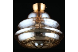 Накладной светильник Aployt Liana APL.303.17.01 - 3