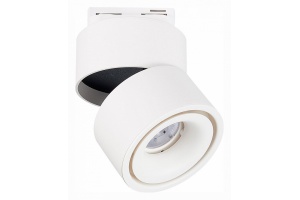 Светильник на штанге ST-Luce ST652 ST652.536.12