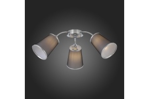 Потолочная люстра EVOLUCE Maleonte SLE103002-03 - 2