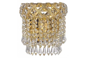 Накладной светильник Arti Lampadari Asti Asti E 2.10.100 G