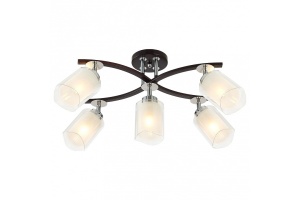 Спот Citilux Фортуна CL156152