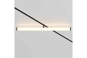 Светильник на штанге Maytoni Larc TR086-2-25W3K-B