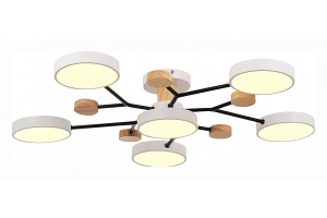 Потолочная люстра EVOLUCE Faema SLE6006-502-06 - 3