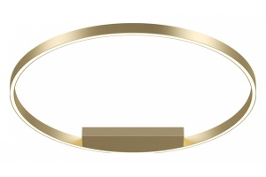 Накладной светильник Maytoni Rim MOD058CL-L50BSK