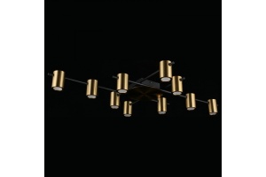 Потолочная люстра Aployt Elwisia APL.633.07.10 - 2